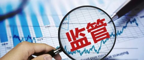 債券市場穩(wěn)定成監(jiān)管核心——金融委會議部署打擊逃廢債與深入市場調查