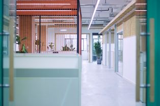 數(shù)字浪潮中的領航者——重慶IDC立洋孵化器市場營銷策略的升級與創(chuàng)新
